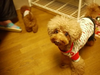 C񂩂(^^)