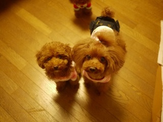 S񂩂(#^.^#)