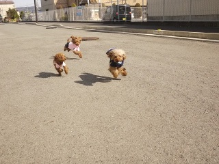 R(o^0^)o~􃉃