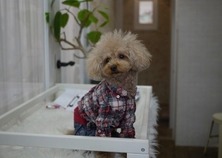 Atelier G�EG