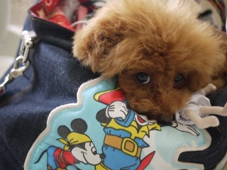 �y���������P���B