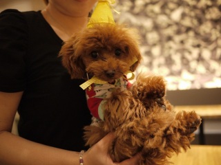 �󁙍K����