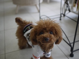 �������񂾁`