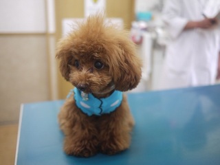 �J�`��������