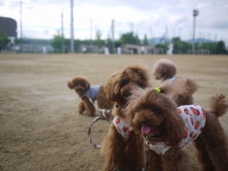 ���͂�[(o^^o)