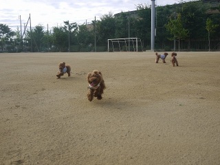 �����ёg