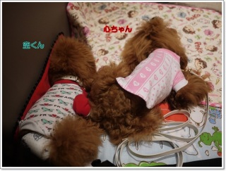 �S�Ƌ�