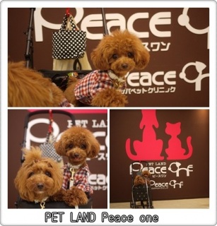 Peace one