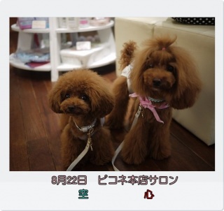 �g���~���O