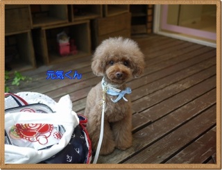 ��l���q