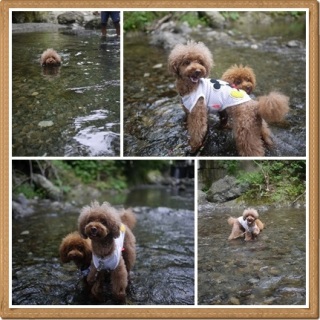 �A���o�������C