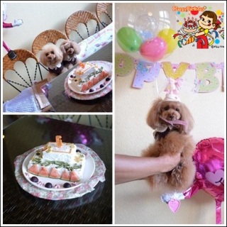 �e�B�A��������