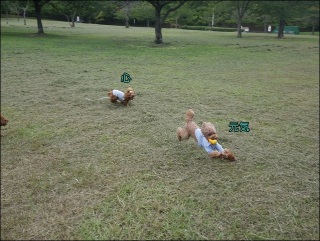 ����������