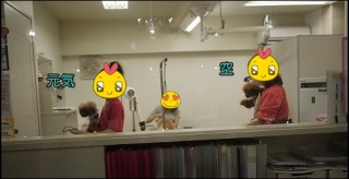 ������`