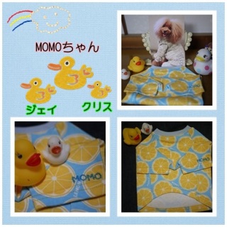 ���肪�Ƃ��B