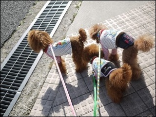 ����I����