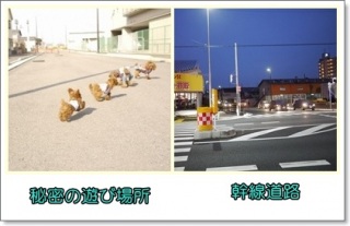 �閧�̗V�яꏊ