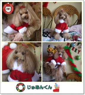 ���F�B��