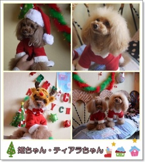 ���F�B��