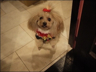 Beverly
