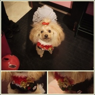 Christmas�ޯ��