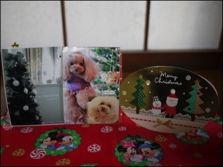 Merry Christmas��