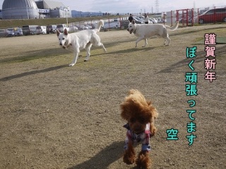 �މ�V�N