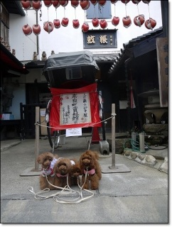 �ޗǒ�