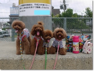 �撣�낤��