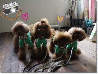 �v���o