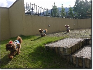 �����Ă܂���