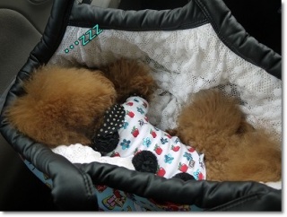 zzz�c